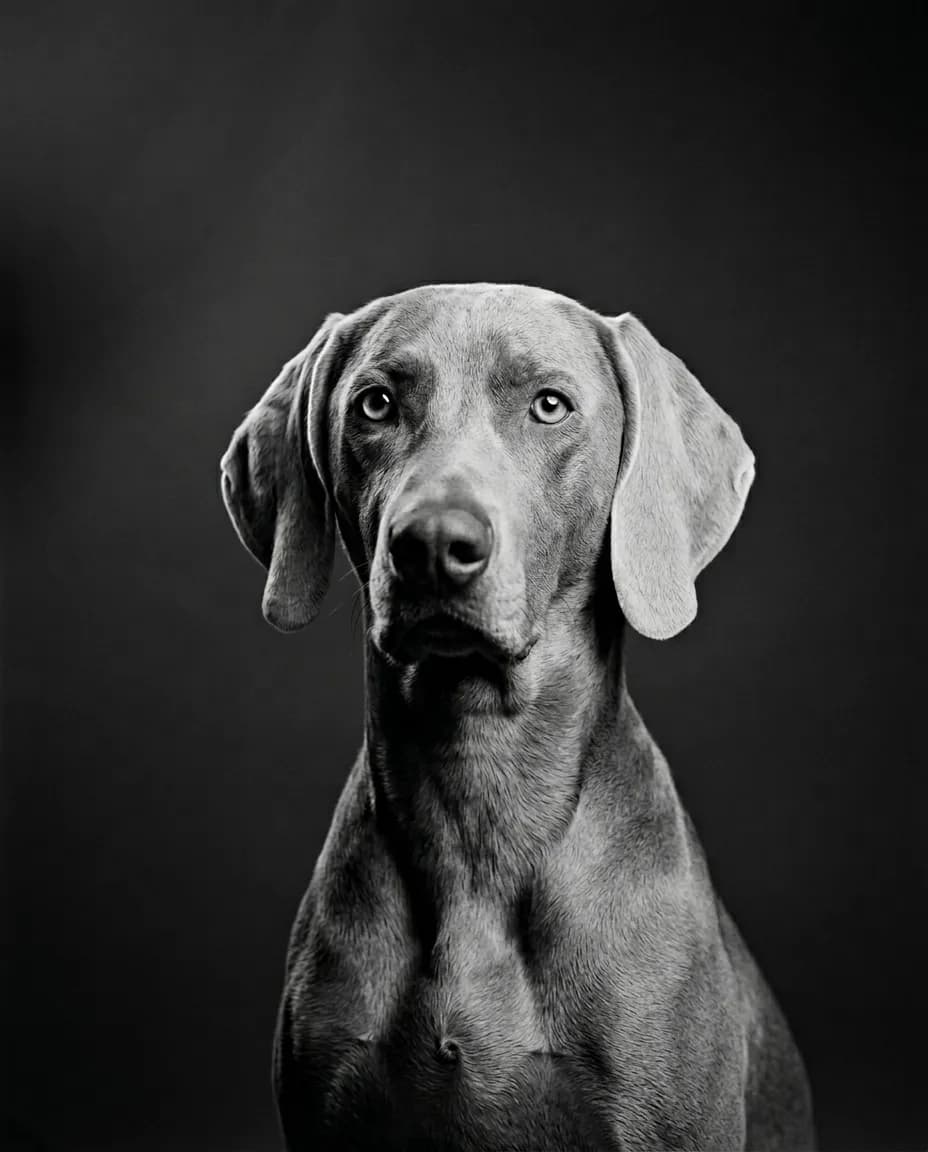 Portrait Studio noir et blanc